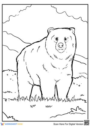 A cute bear