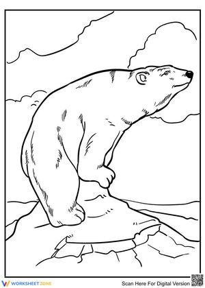 A Bear Picture