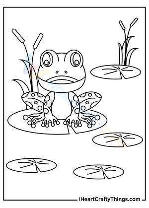 Photo of a Frog Exploration