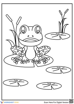 Photo of a Frog Exploration