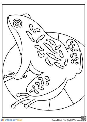 Frog From Above Lesson