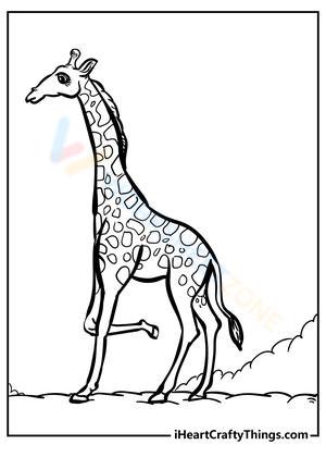 Giraffe Photo Exploration Worksheet