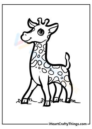 Explore A Giraffe Lesson