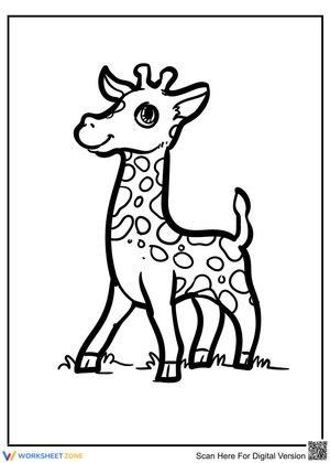 Explore A Giraffe Lesson