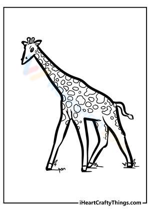 The Giraffe Learning Activity