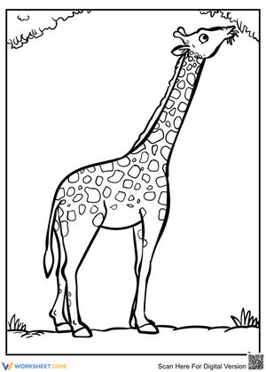 Giraffe Picture Study Material