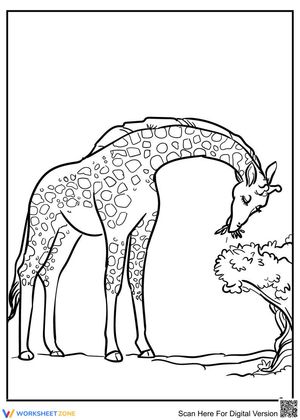 Giraffe Is Here to Learn