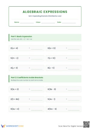 Distributive Law Algebra Worksheet | Grade 7 Essential