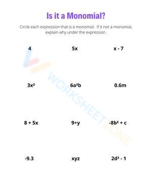 Is It a Monomial? Worksheet