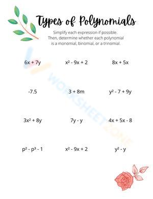 Types of Polynomials Math Worksheet
