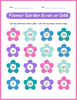Even and Odd Math Worksheet