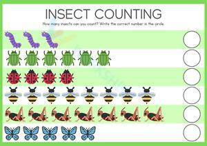 Insect Counting Worksheet