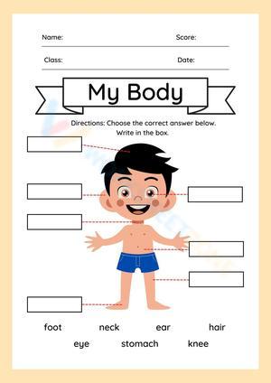 Minimalist Boy Body Parts Worksheet