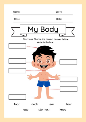 Printable Body Parts Worksheet | Kindergarten Science