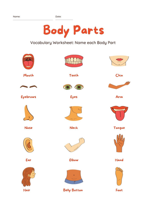Printable Body Parts Vocabulary Worksheet | Grade K