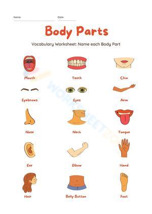 Printable Body Parts Vocabulary Worksheet | Grade K