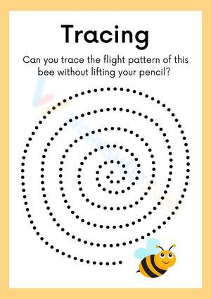 Trace the Bee Flight Pattern Lesson