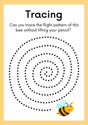 Trace the Bee Flight Pattern Lesson