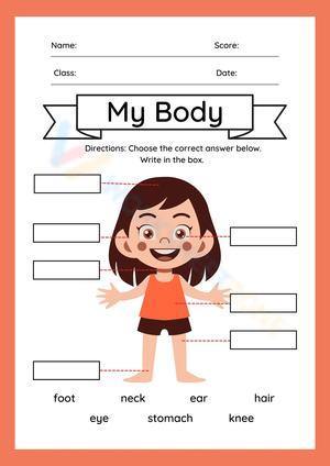 Minimalist Girl Body Parts Worksheet