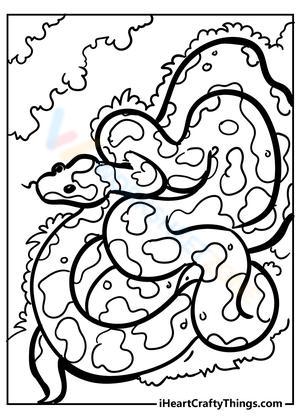 Discover Nature with a Snake Picture Worksheet!