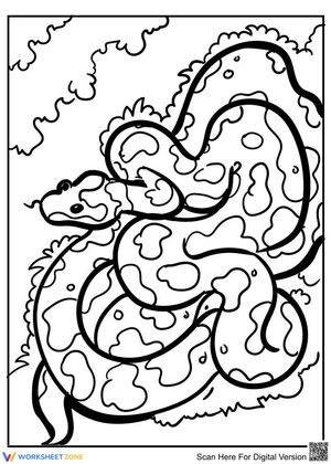 Discover Nature with a Snake Picture Worksheet!