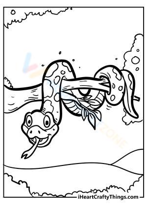 Realistic Snake Photo Worksheet