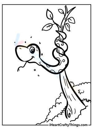 Learn about Snakes with a Photo Worksheet!