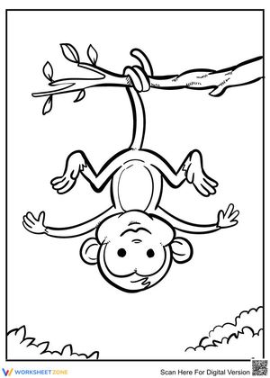 The Cute Monkey