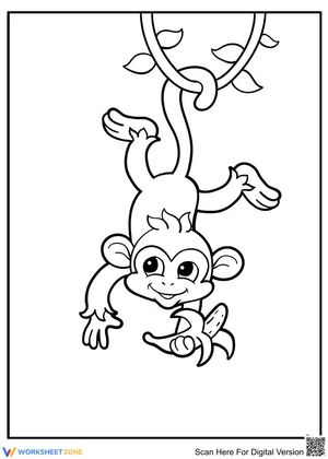 Little Monkey: Exploring Animal Life