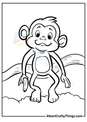 A Cute Monkey: Wildlife Introduction