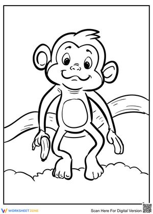 A Cute Monkey: Wildlife Introduction