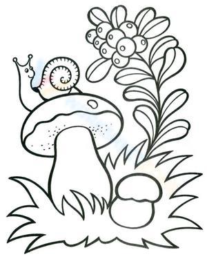 Mushroom in the garden