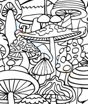 Various kinds of mushroom