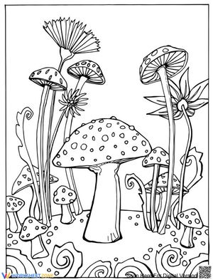Mushroom picture