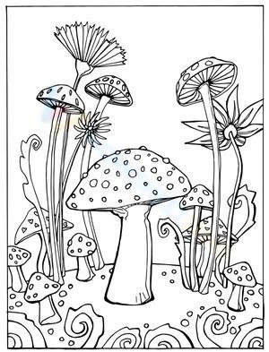 Mushroom picture
