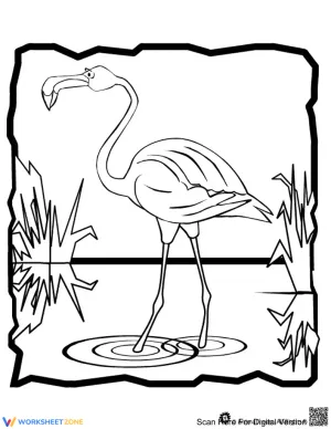 Flamingo Walking in Water Worksheet