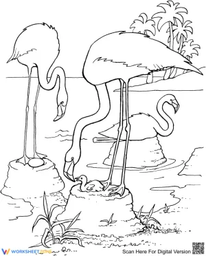 Flamingo Feeding Chicks Worksheet