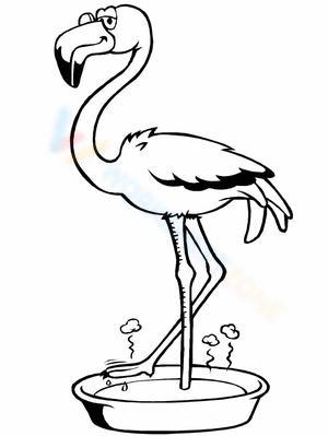 Flamingo Soaking Worksheet