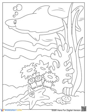 Ocean Life Coloring Page | Essential Grade K-1 Printable