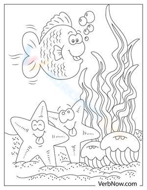 Underneath the water