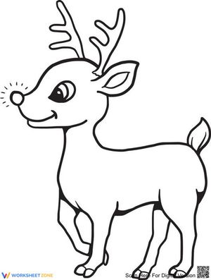 Reindeer