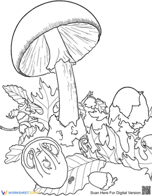 Big mushroom