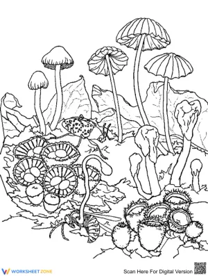 Beautiful mushroom