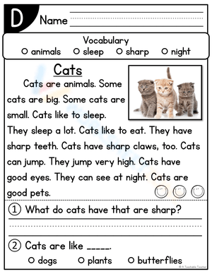 Descriptive Writing: Cats Worksheet