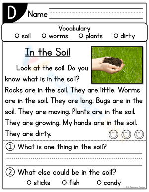 Exploring Soil: In The Soil Worksheet