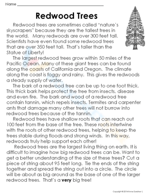 Redwood Tree Facts: Learn About Giant Redwoods
