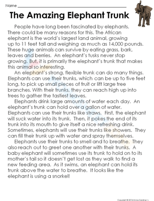 The Amazing Elephant Trunk:  Fun Facts!