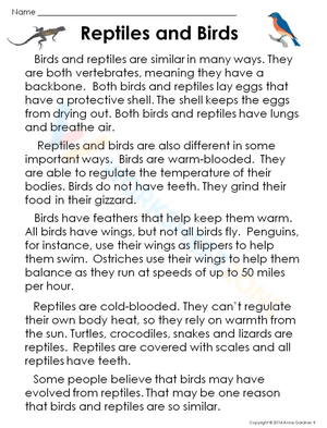 Reptiles and Birds: Exploring Animal Classification