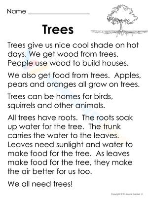 Trees: Exploring Tree Anatomy