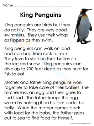 King Penguins: Exploring Penguin Adaptations